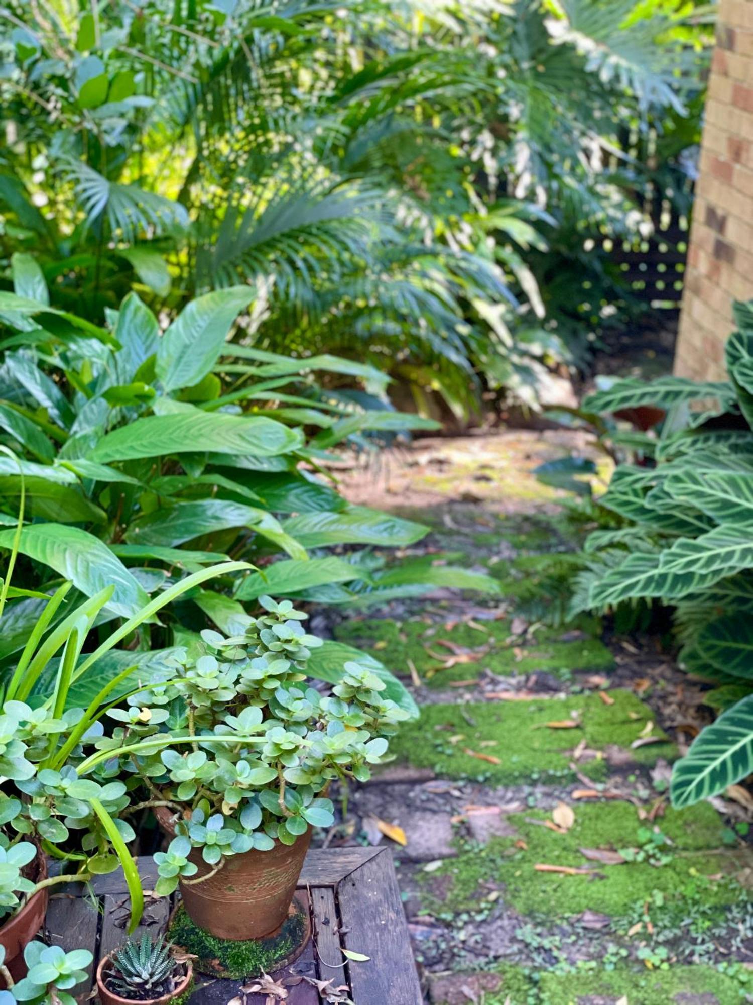 Lilli Pilli Guesthouse Byron Bay Zewnętrze zdjęcie